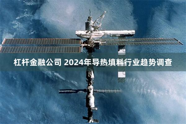 杠杆金融公司 2024年导热填料行业趋势调查