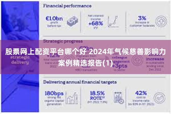 股票网上配资平台哪个好 2024年气候慈善影响力案例精选报告(1)