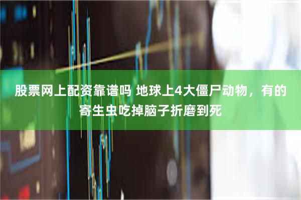 股票网上配资靠谱吗 地球上4大僵尸动物，有的寄生虫吃掉脑子折磨到死