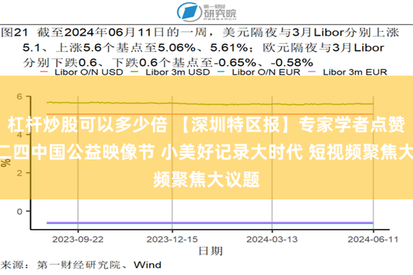 杠杆炒股可以多少倍 【深圳特区报】专家学者点赞二O二四中国公益映像节 小美好记录大时代 短视频聚焦大议题