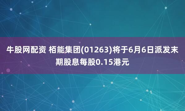 牛股网配资 栢能集团(01263)将于6月6日派发末期股息每股0.15港元