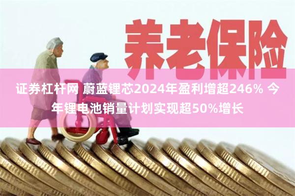 证券杠杆网 蔚蓝锂芯2024年盈利增超246% 今年锂电池销量计划实现超50%增长