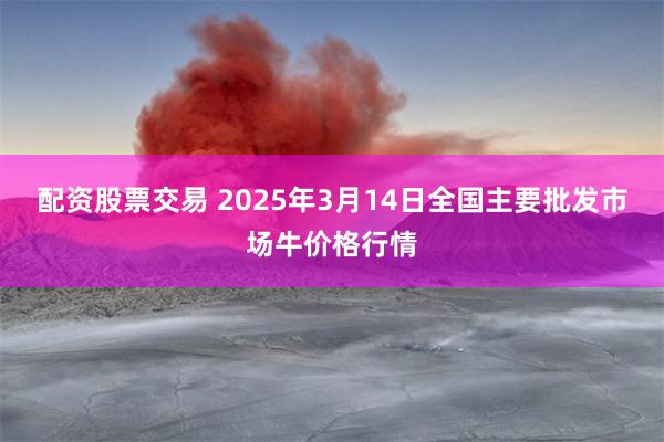 配资股票交易 2025年3月14日全国主要批发市场牛价格行情