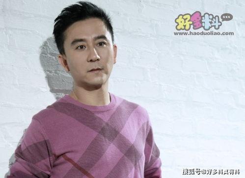 演员黄翀老婆,揭秘演员黄翀贤内助风采