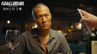 命运速递演员表,揭秘演员阵容，实力派明星齐聚演绎命运传奇